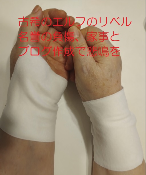 家事とblogを頑張り過ぎて手首と足首が負傷しました。